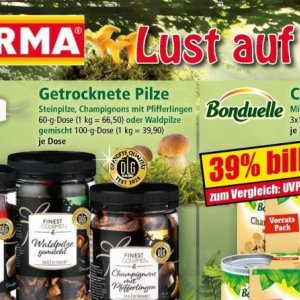 Pilze bei Norma