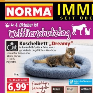  CAT bei Norma