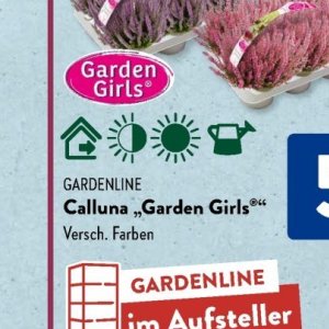 Gartengarnituren bei Aldi SÜD