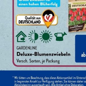 Gartengarnituren bei Aldi SÜD