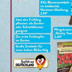 Garten bei Aldi SÜD