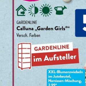 Gartengarnituren bei Aldi SÜD