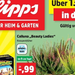 Garten bei Thomas Philipps