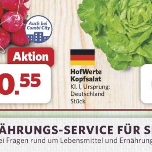 Kopfsalat bei Combi