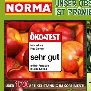 Nektarinen bei Norma