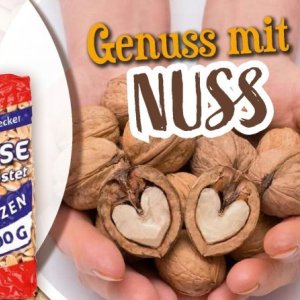 Nuss bei Norma