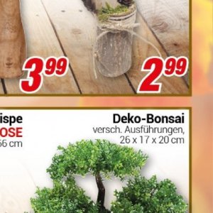 Bonsai bei Centershop