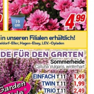 Garten bei Centershop