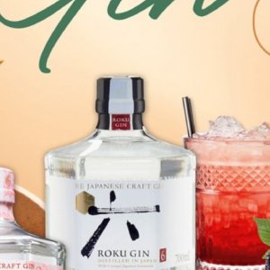 Gin bei Selgros