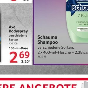 Shampoo bei Selgros