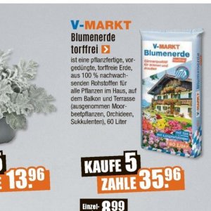 Pflanzen bei V-Baumarkt