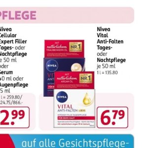   bei Rossmann