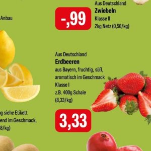 Erdbeeren bei Feneberg