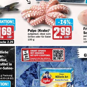 Pulpo bei Hit