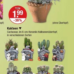 Keramik bei V-Markt