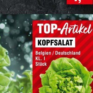 Kopfsalat bei Handelshof