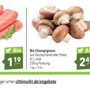 Champignons bei Citti Markt