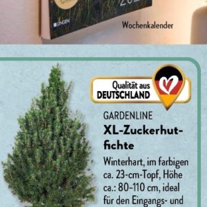 Gartengarnituren bei Aldi SÜD