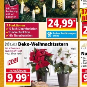 Weihnachtsstern bei Norma