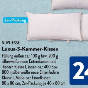 Kissen bei Aldi SÜD