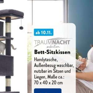 Sitzkissen bei Aldi SÜD