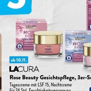 Rose bei Aldi SÜD