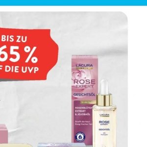 Rose bei Aldi SÜD