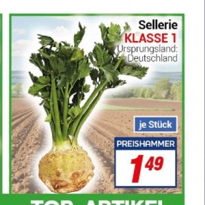 Sellerie bei Centershop