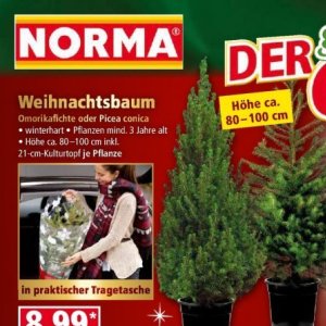 Weihnachtsbaum bei Norma