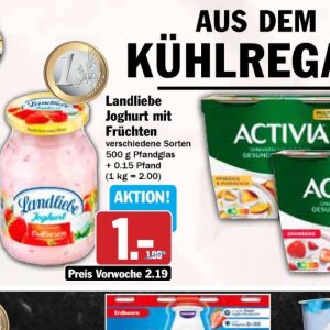 Joghurt danone  bei Hit