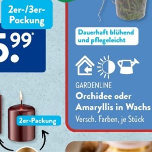 Gartengarnituren bei Aldi SÜD