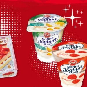 Joghurt bei Selgros