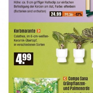 Keramik bei V-Baumarkt