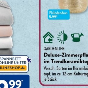 Gartengarnituren bei Aldi SÜD