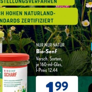 Senf bei Aldi SÜD