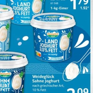 Joghurt bei Selgros