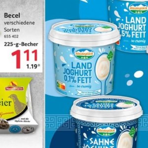 Joghurt bei Selgros