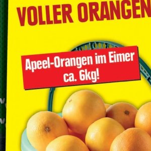 Orangen bei Elli Markt