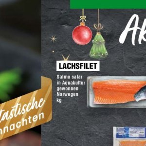 Lachsfilet bei Handelshof