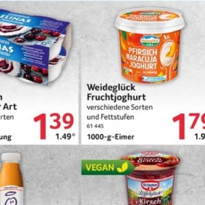 Joghurt bei Selgros