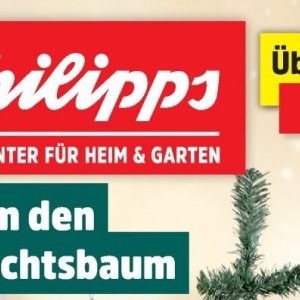 Garten bei Thomas Philipps