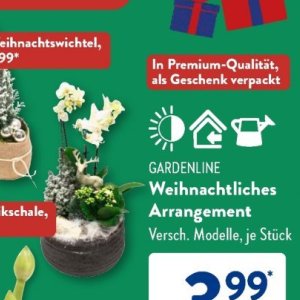 Gartengarnituren bei Aldi SÜD