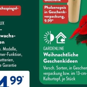 Gartengarnituren bei Aldi SÜD