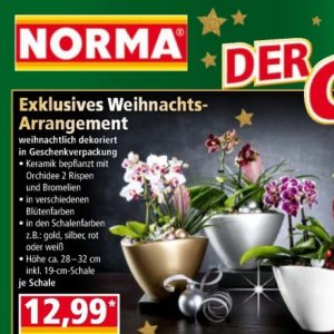 Keramik bei Norma