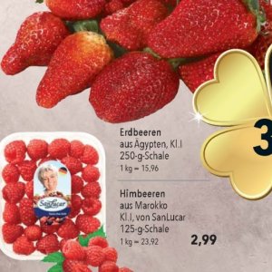 Erdbeeren bei Citti Markt