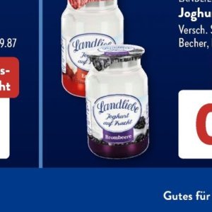 Joghurt bei Aldi SÜD