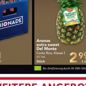 Ananas bei Selgros