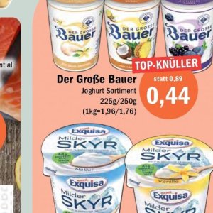 Joghurt ehrmann ehrmann bei Aktiv Irma