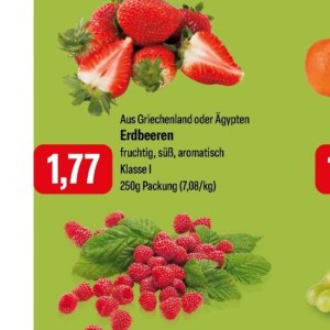 Erdbeeren bei Feneberg