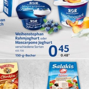 Joghurt bei Selgros